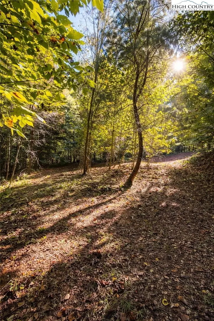 140 Johns Ridge Parkway, Johns River, NC 28534 - #2