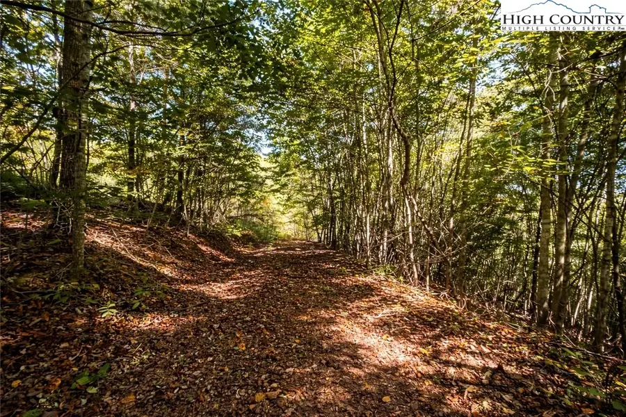 140 Johns Ridge Parkway, Johns River, NC 28534 - #3