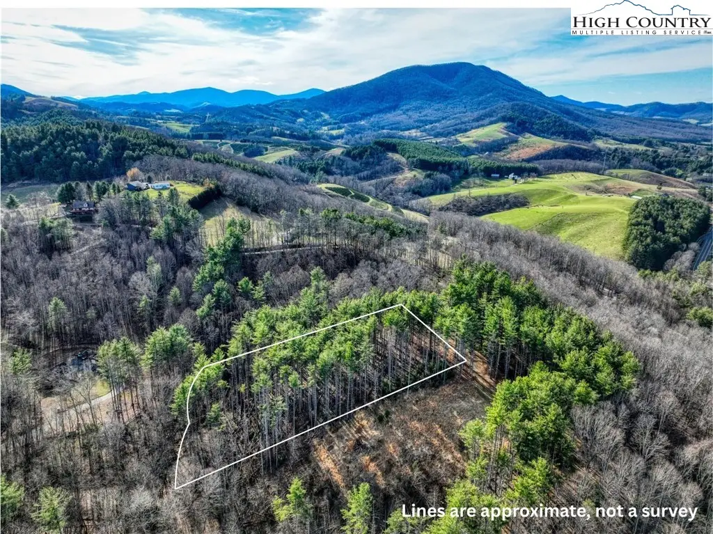 TBA Pine Springs Dr, Jefferson, NC 28640 - #1