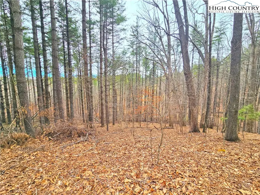 TBA Pine Springs Dr, Jefferson, NC 28640 - #3