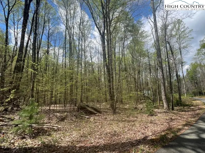 Lot 45 Sonterra Drive, Lansing, NC 28643 - #1