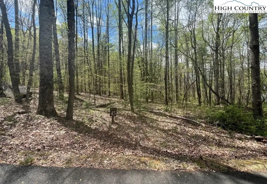 Lot 45 Sonterra Drive, Lansing, NC 28643 - #3