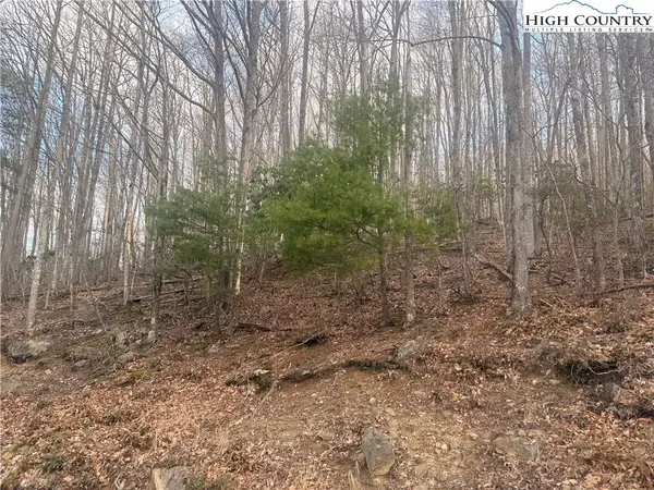 212 Jackpine Road, Beech Mountain, NC 28604