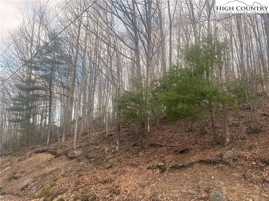 212 Jackpine Road, Beech Mountain, NC 28604 - #2