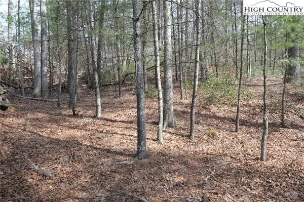 Lot #6 Cubs Lane, Sparta, NC 28675