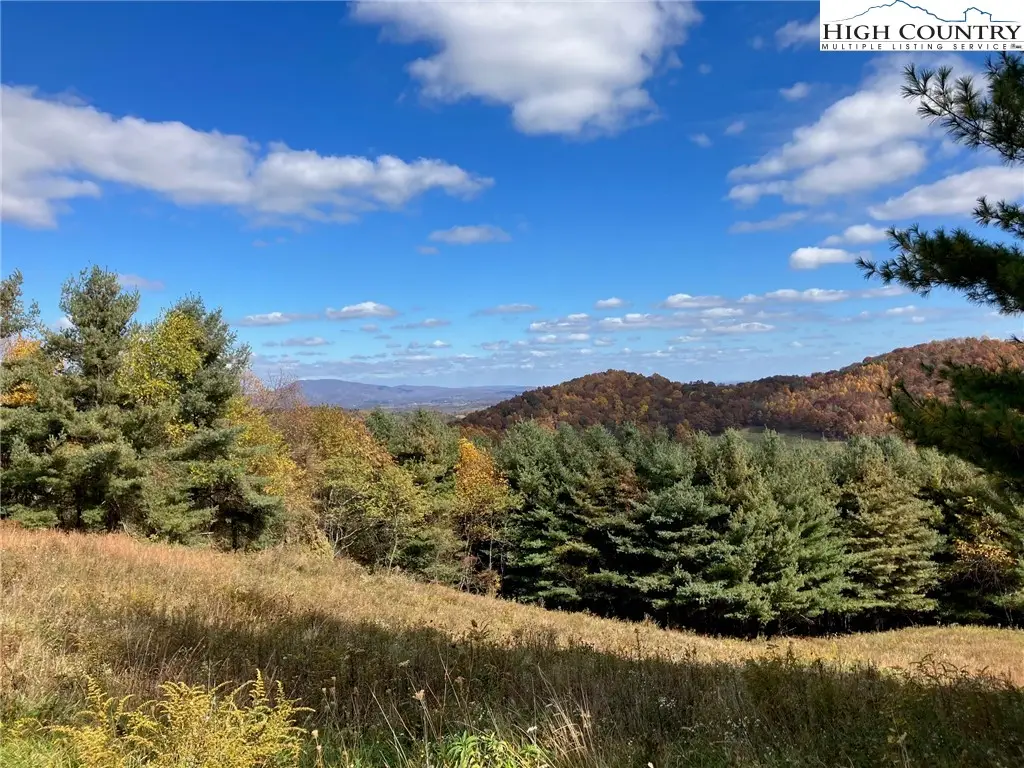 TBD New Hope Church Road, Laurel Springs, NC 28644 - #1