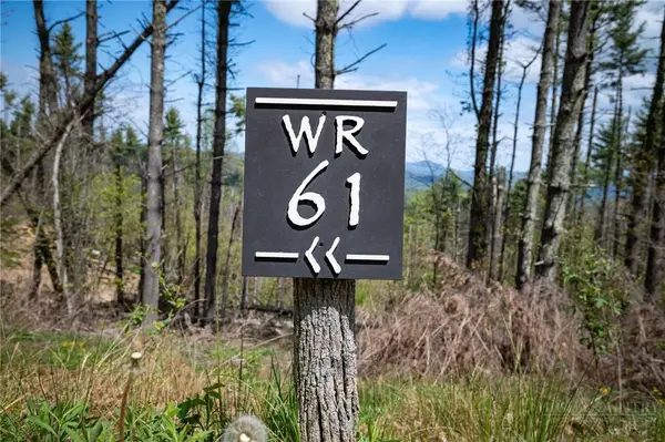 WR-61 Clouds Rest Drive, Elk Park, NC 28622