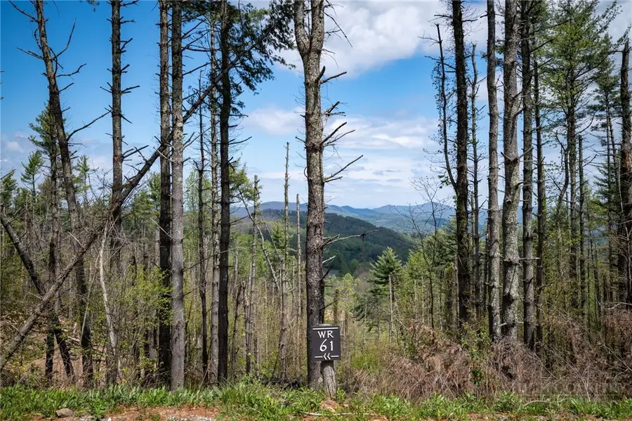 WR-61 Clouds Rest Drive, Elk Park, NC 28622 - #2