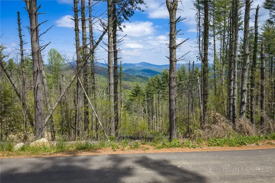 WR-61 Clouds Rest Drive, Elk Park, NC 28622 - #3