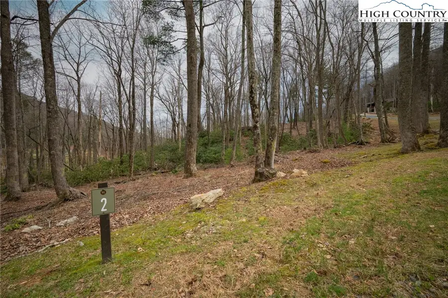 Lot 2 Wildcat Wilderness Parkway, Deep Gap, NC 28618 - #2