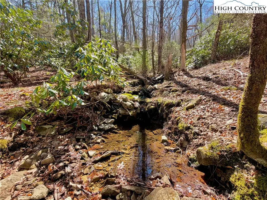 TBD George Hayes Road, Boone, NC 28607 - #2