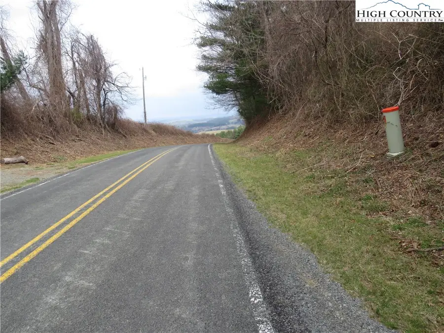 TBD Wilson Road, Ennice, NC 28668 - #2