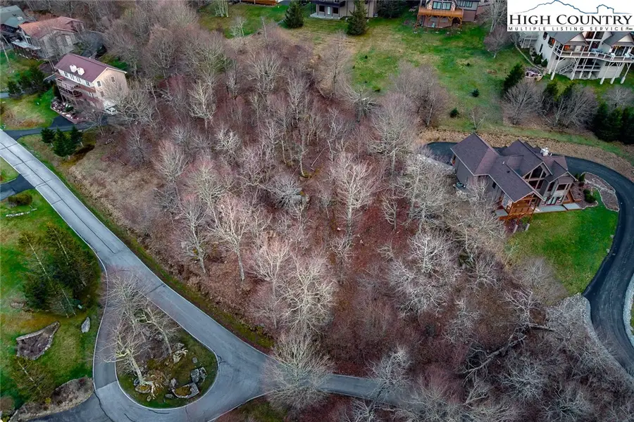 L20 Woodland Way, Beech Mountain, NC 28604 - #3