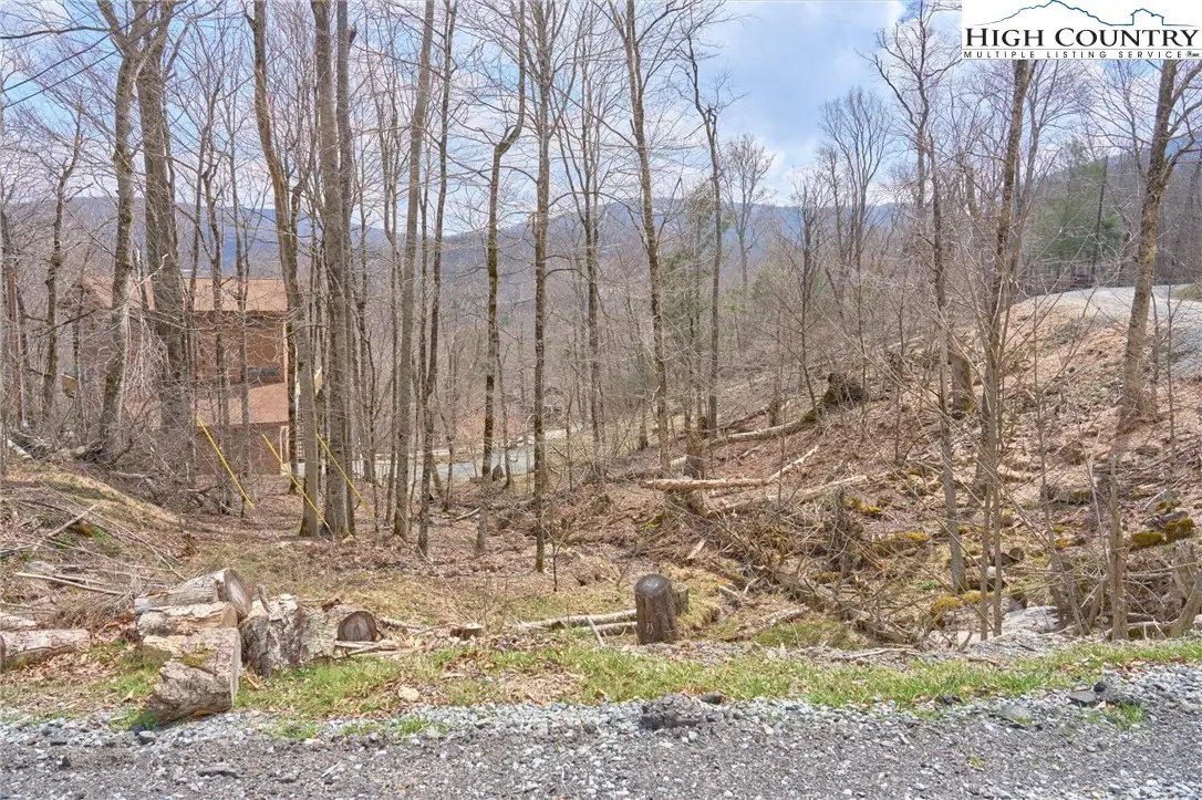 101 Foxgrape Hollow Road, Beech Mountain, NC 28604 - #1
