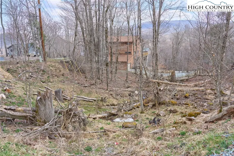 101 Foxgrape Hollow Road, Beech Mountain, NC 28604 - #2