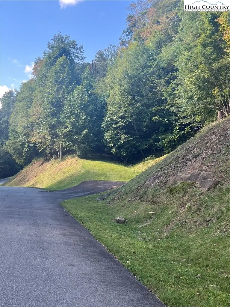 172 Hump View Trail, Banner Elk, NC 28604 - #1