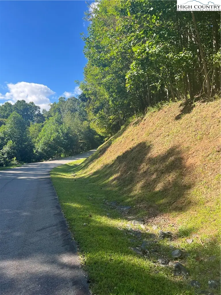 172 Hump View Trail, Banner Elk, NC 28604 - #3