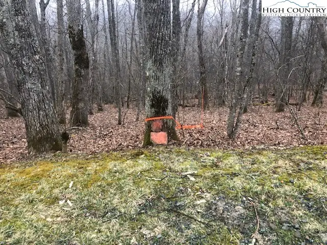 TBD Saddle Road, Boone, NC 28607 - #1