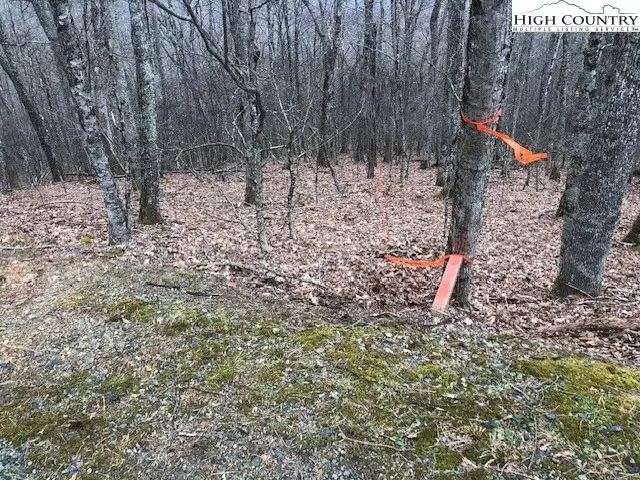 TBD Saddle Road, Boone, NC 28607 - #2