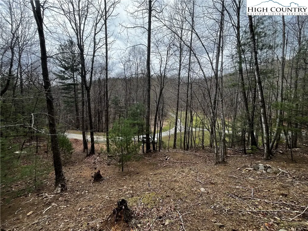 Lot 16 Bear Creek Lane, Deep Gap, NC 28618 - #1