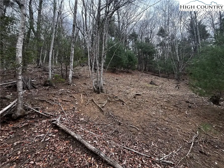 Lot 16 Bear Creek Lane, Deep Gap, NC 28618 - #3