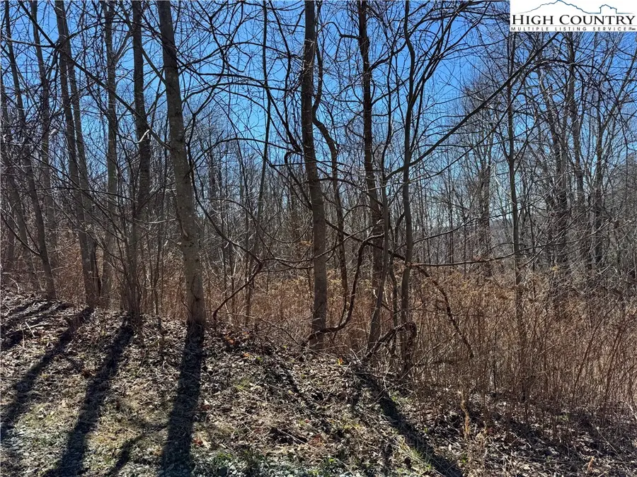 TBD Tall Tree Lane #70, Banner Elk, NC 28604 - #2