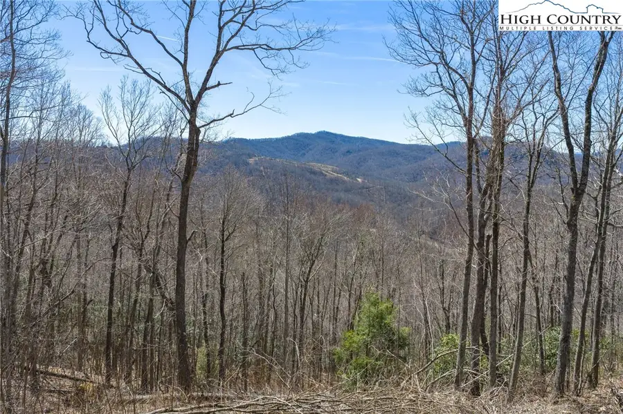 Lot 80 Bear Paw Road, Elk Park, NC 28622 - #2