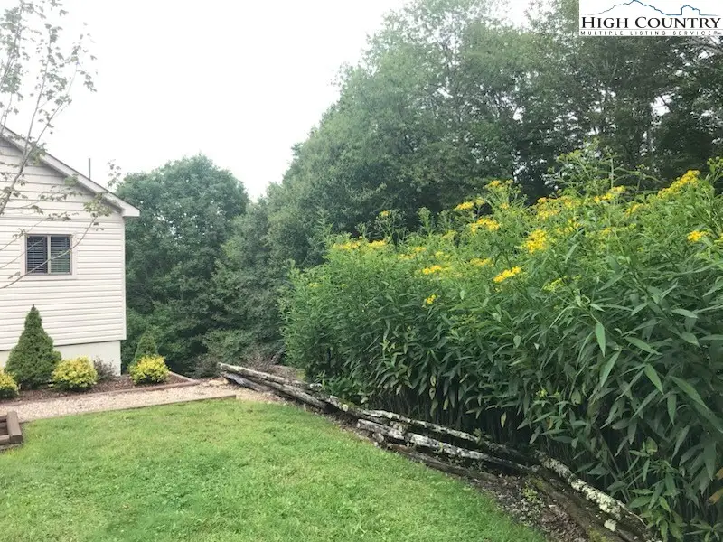 100 Spring Branch Road #A, Beech Mountain, NC 28604 - #2