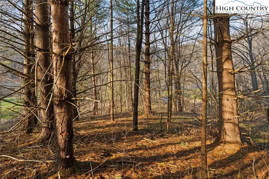 Lot 9 Oak Green Drive, Warrensville, NC 28693 - #2