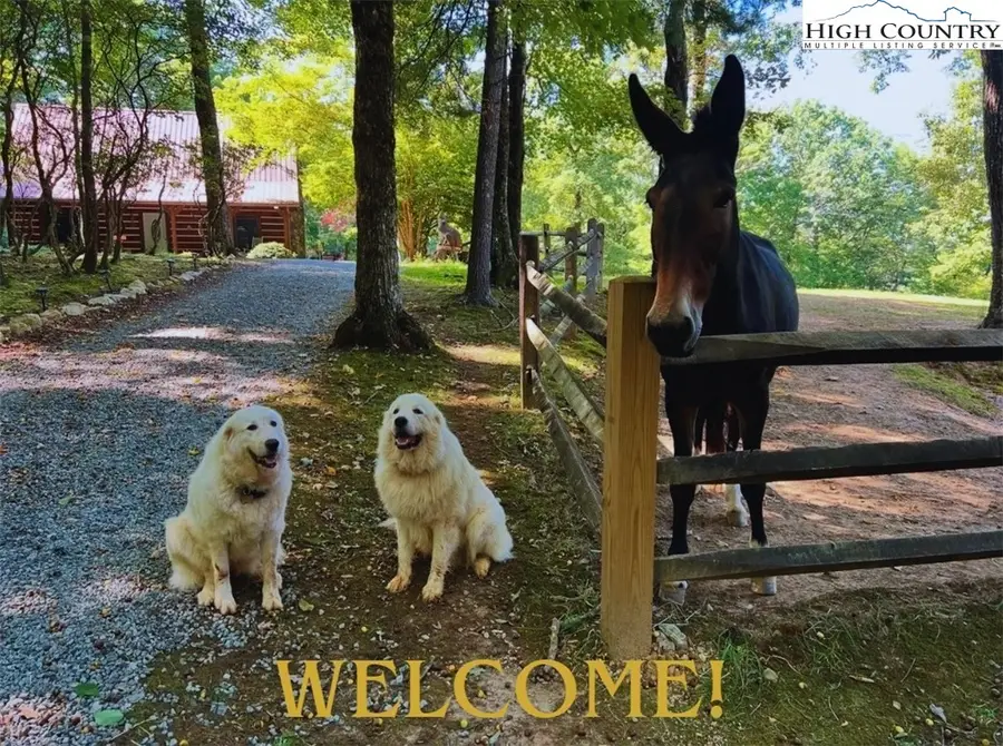 130 Hawkbill Road, Ferguson, NC 28624 - #3