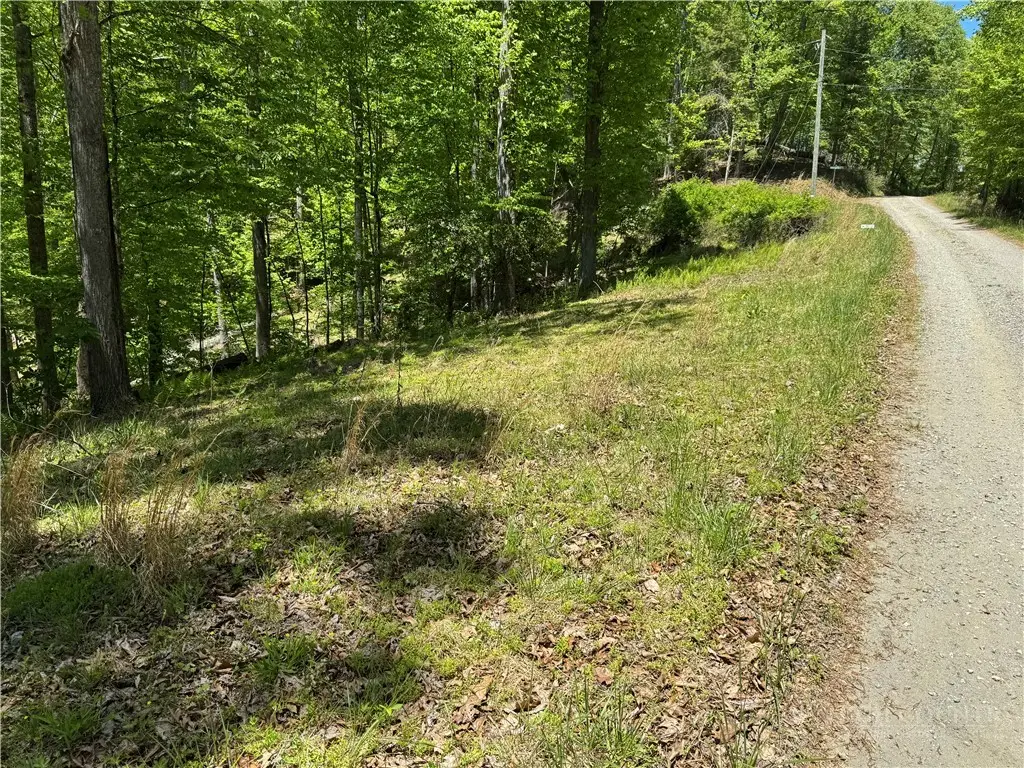 Lot 21 Happy Berry Drive, Grassy Creek, NC 28631 - #1