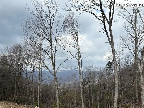 TBD Angelfire Trail, Deep Gap, NC 28618