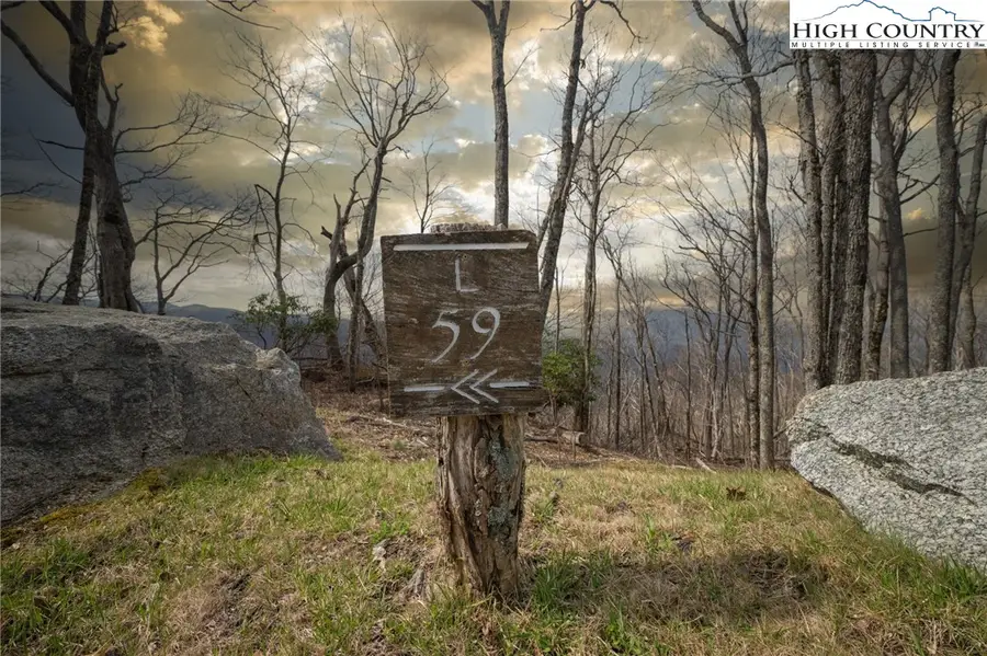 L-59 Eagle Cliff Trail, Banner Elk, NC 28604 - #2