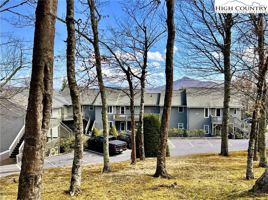 367 Skyleaf Drive #D-4, Sugar Mountain, NC 28604 - #2