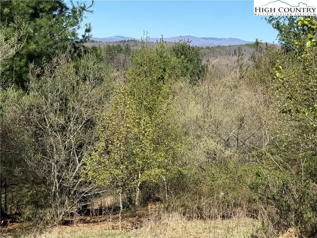 TBD (Lot 21 & 22) Martha Lane, Piney Creek, NC 28663 - #1