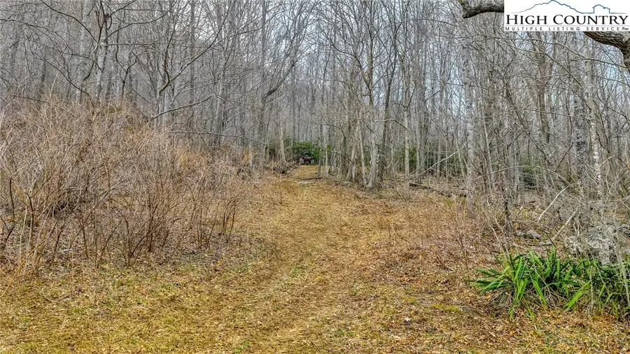 TBD - 2 Three Top Road, Todd, NC 28684 - #3