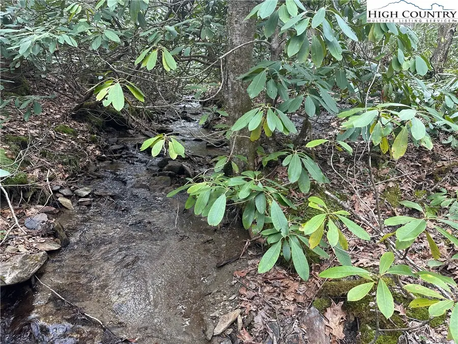 1476 John Alley Road, Lansing, NC 28643 - #2