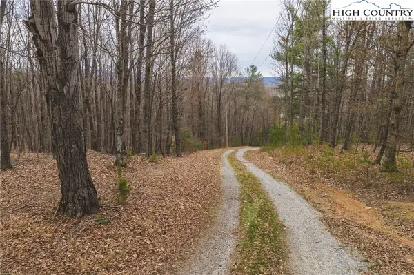 TBD Lot 1 All Healing Springs Road, Taylorsville, NC 28681