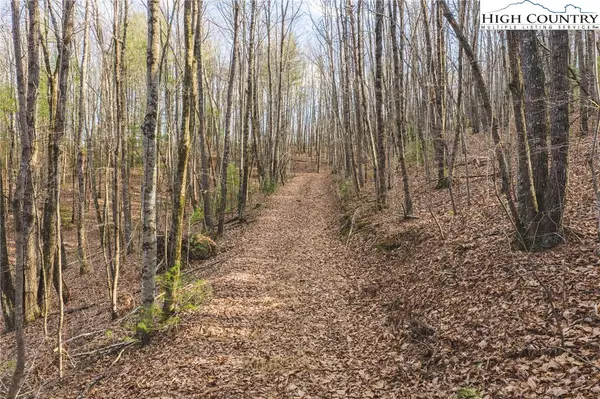 TBD Lot 2 All Healing Springs Road, Taylorsville, NC 28681