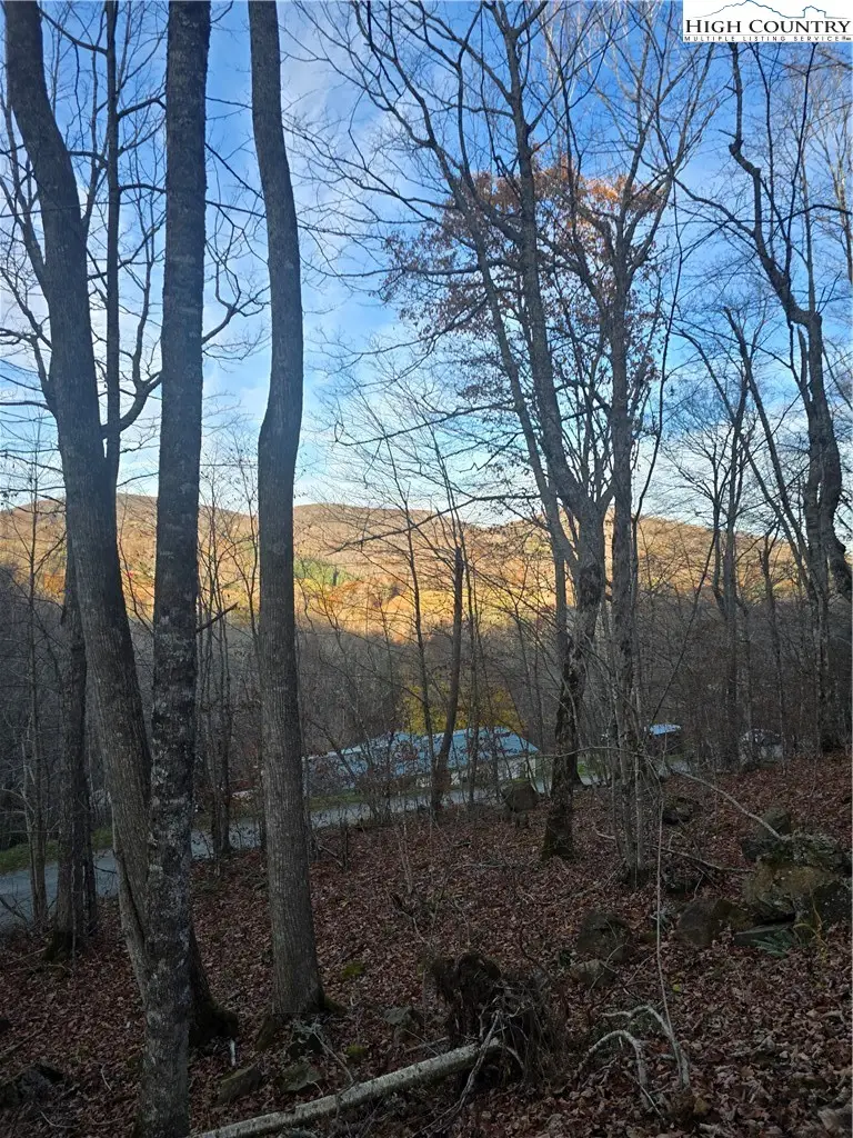 TBD Junaluska Road, Boone, NC 28607 - #2