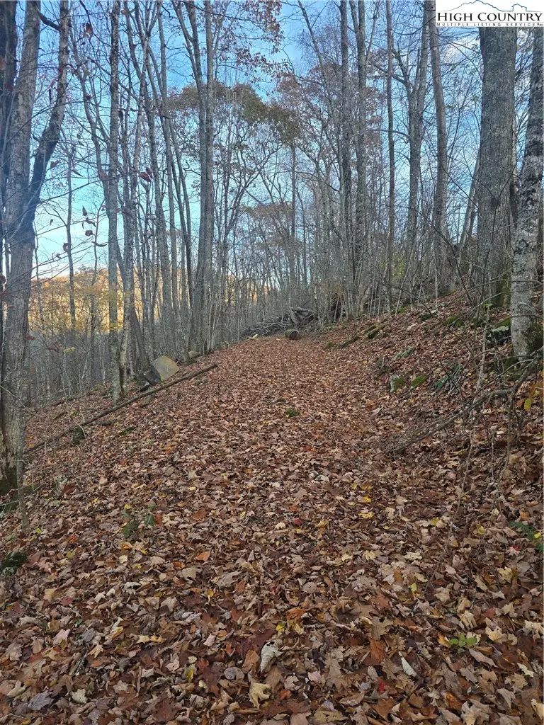 TBD Junaluska Road, Boone, NC 28607 - #3