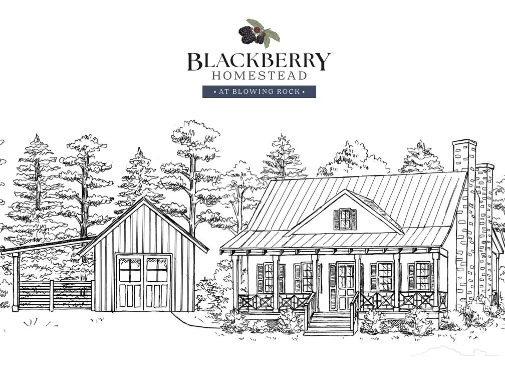 9379 Blackberry Road, Lenoir, NC 28645 - #1