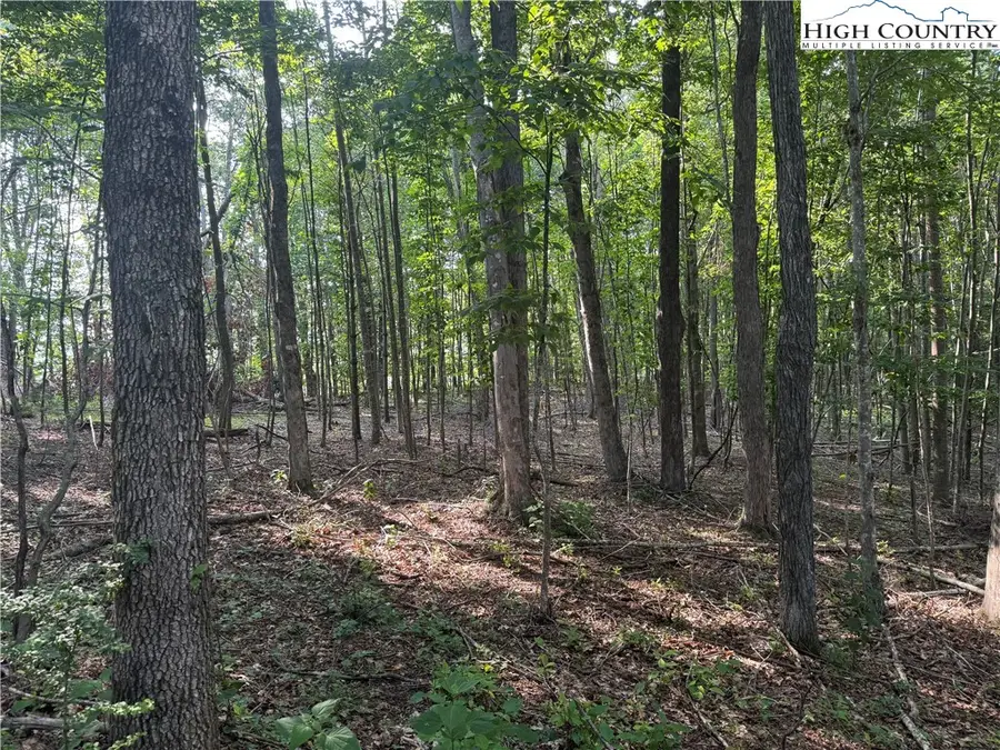 TBD Us Highway 221, Jefferson, NC 28640 - #2