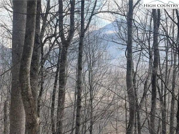 TBD Lot 17 Carefree Cove Road, Zionville, NC 28698