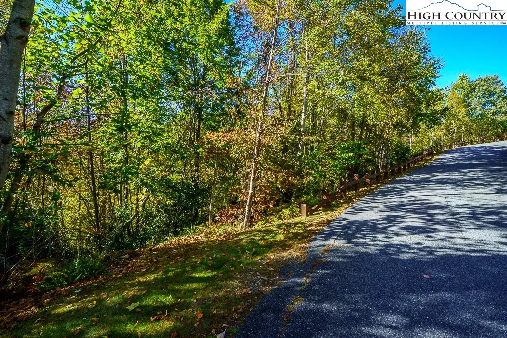 Lot 39 TBD Pine Cove Road, Elk Park, NC 28622 - #1