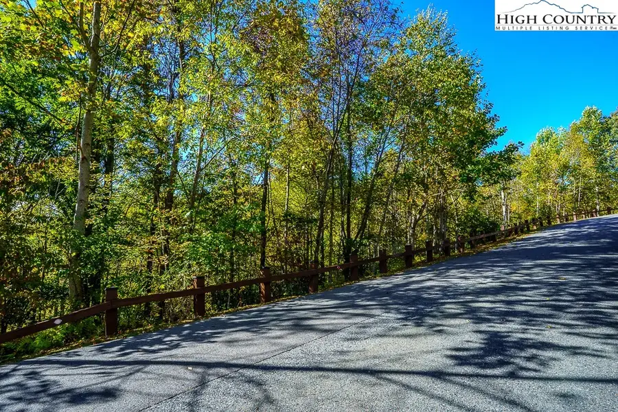 Lot 39 TBD Pine Cove Road, Elk Park, NC 28622 - #2