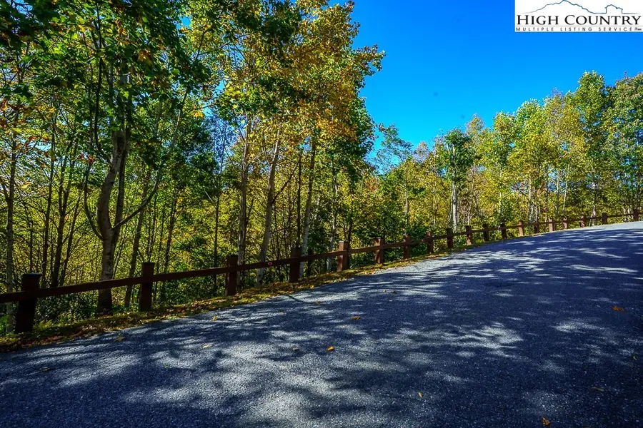 Lot 39 TBD Pine Cove Road, Elk Park, NC 28622 - #3