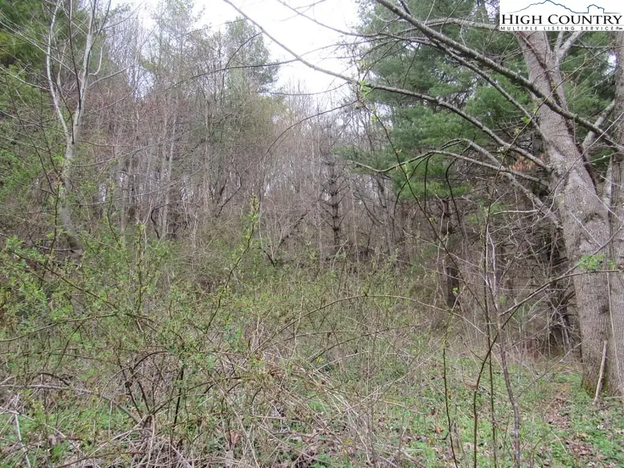 TBD Nc Hwy 88 W, Creston, NC 28615 - #3