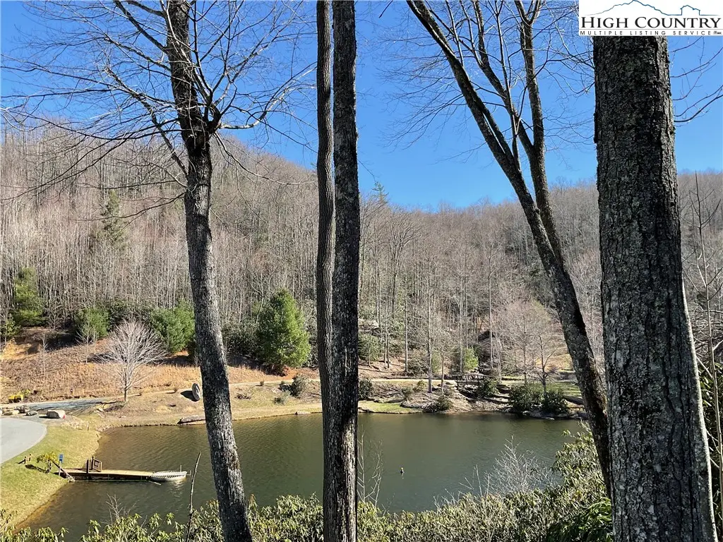 TBD Lake Lot 1 Woodlake Loop Road, Elk Park, NC 28622 - #1