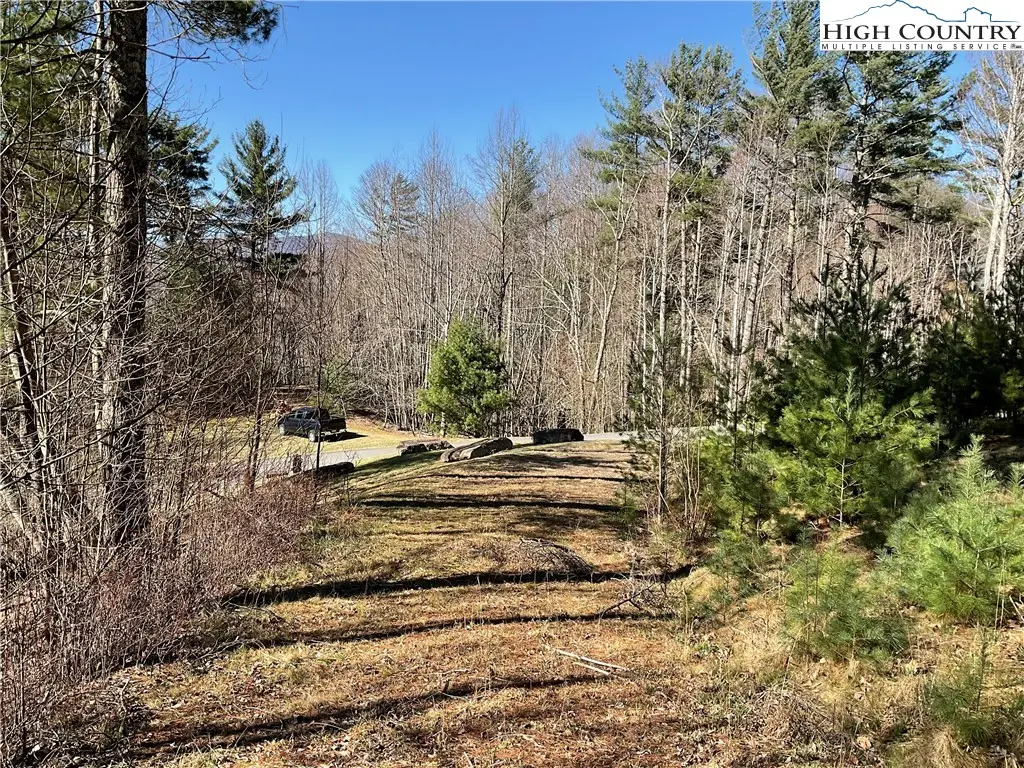 TBD Lot 34 Falls Creek Parkway, Elk Park, NC 28622 - #1